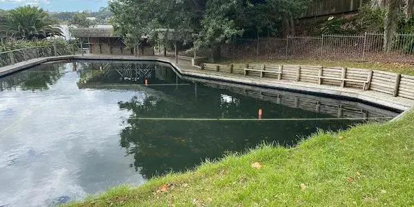 Scale Marine Modellers INC